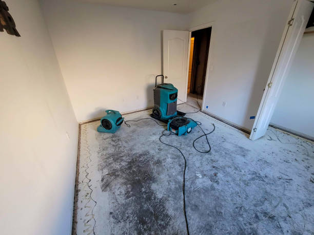 Best Water damage restoration specialists  in Medina, NY