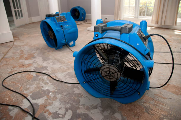 Best Flood restoration services  in Medina, NY