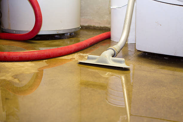 Sewage cleanup and water damage restoration